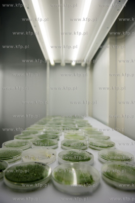 Gdansk. Otwarcie Instytutu Biotechnologii Uniwersytetu...