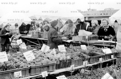 Kiermasz ogrodniczy przed hala Olivia w Gdansku Oliwie...