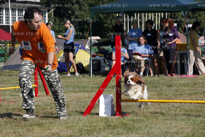 Sopocka Wystawa Psow Rasowych. W trakcie wystawy odbywaly...