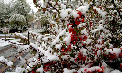 Slupsk

Nietypowa aura w Slupsku. W calym regionie...