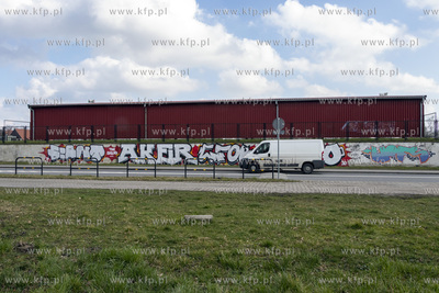 Murales na płocie przy ulicy Grota Roweckiego w Pruszczu...