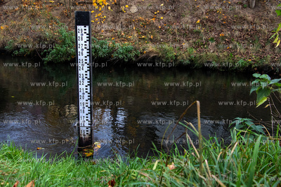 Łata wodowskazowa na Raduni w Pruszczu Gdańskim.
5.11.2024
fot....