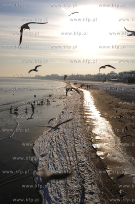 Sopocka plaza w piekny, mrozny zimowy dzien
06.01.2009
fot....