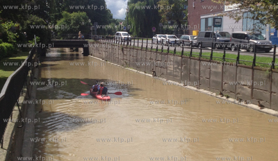 Kajakiem po Kanale Raduni w Gdańsku. 19.07.2016 fot....