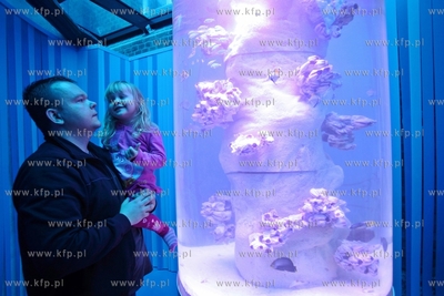 Centrum Hewelianum. Otwarcie Laboratorium Pana Kleksa.
10.05.2014
fot....