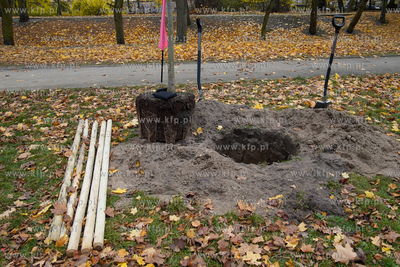 Park Przymorze. Inauguracja cyklu jesiennych nasadzeń...