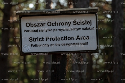 Droga do latarni morskiej w Czołpinie. Słowiński...