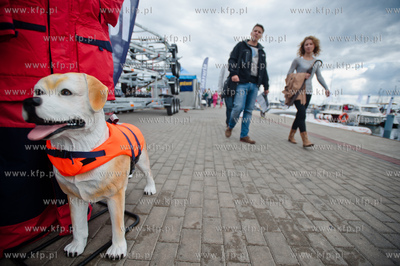 Przystan jachtowa Marina Gdynia. VIII Targi i Festiwal...