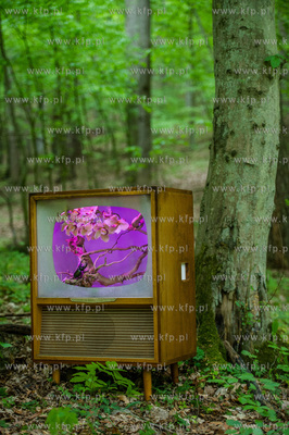 Gdansk. Dolina Radosci. Weekendowa akcja miejska Streetwaves.
31.05.2015
fot....