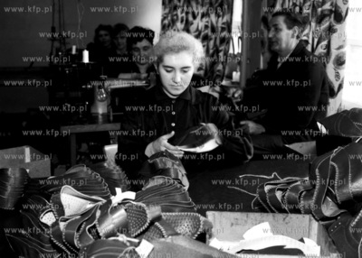 Linia produkcyjna w zakładzie obuwniczym.
03.1967
0000558z_marzec1967
Fot....