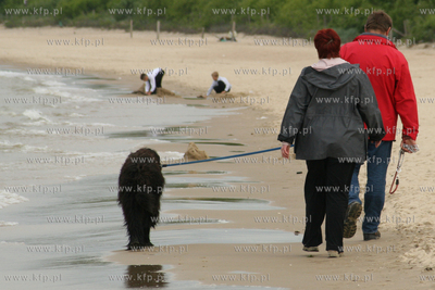 Mimo zakazu, wiele osob zabiera psy na spacer po plazy....