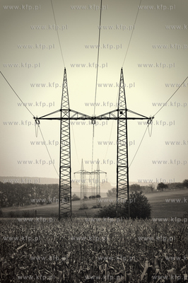 Morawy. Czechy. Okolice miejscowosci Kijev. Nz. pola...