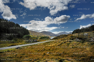 Irlandia poludniowa,hrabstwo Kerry, Killarney.  Park...