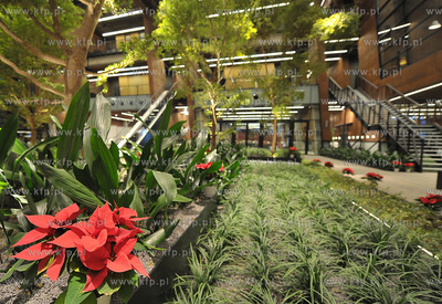 Europejskie Centrum Solidarnosci. Gdansk. Swiateczny...