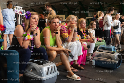 Międzynarodowa wystawa kotów rasowych "Koty na Hawajach"...