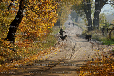 Sulmin na Kaszubach Droga od strony Lezna.. 21.10.2012...