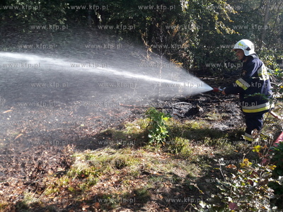 Pożar lasu między Smęgorzynem a Sulminem, zaprószony...