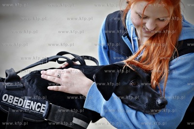 Sopot. Hipodrom. Psie zawody o Puchar Planet Pet Society...