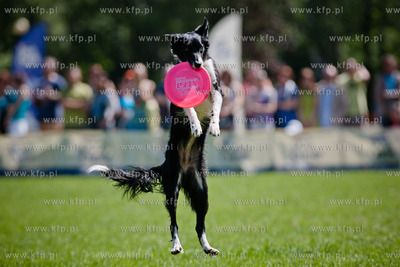 Sopot. Lazienki Polnocne. Trzecia kwalifikacja Dog...