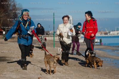 Gdynia. Polanka Redlowska. Pomorski Puchar Dogtrekkingu.
08.02.2014
fot....