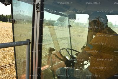 Chwaszczyno. Pierwszy tydzien zniw.  07.08.2009  fot....