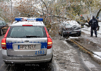 Nagly atak zimy w Warszawie.  Powalone drzewa na ulicy...