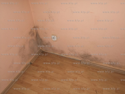 Mieszkanie niepelnosprawnego Pawla przed remontem....