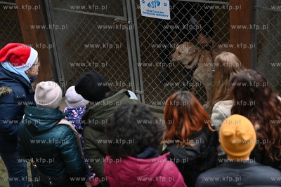 Dzień otwarty w Sopotkowie. 
8.12.2024
fot. Wojciech...