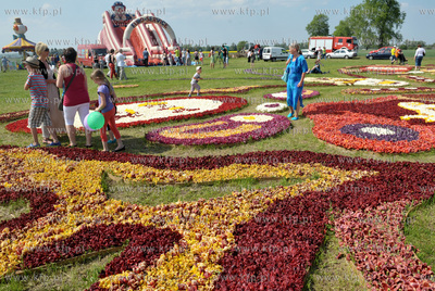 Zulawski Tulipan -  piata edycja imprezy zorganizowanej...