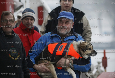 Gdynia. Pies uratowany na Zatoce Gdanskiej z plywajacej...