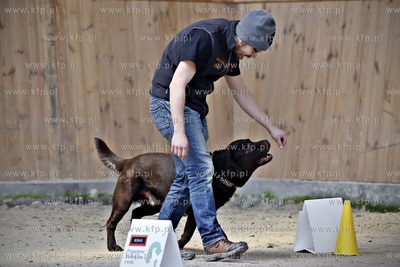 Sopot. Hipodrom. Psie zawody o Puchar Planet Pet Society...