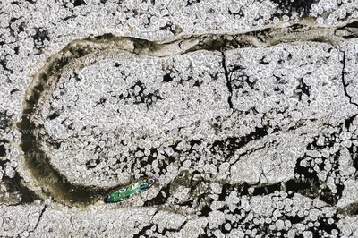 Lodołamacze udrożniają ujście Wisły.
09.01.2026
fot....