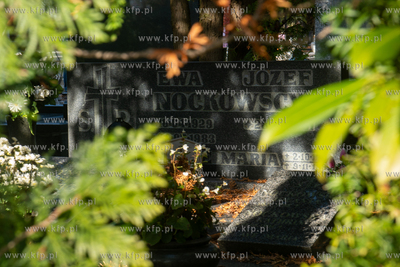 Cmentarz Łostowicki na dzień przed dniem Wszystkich...