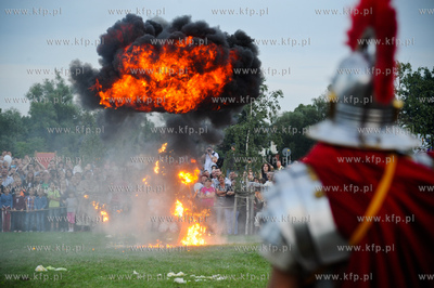 Pruszcz Gdanski. Miedzynarodowy Baltycki Park Kulturowy...