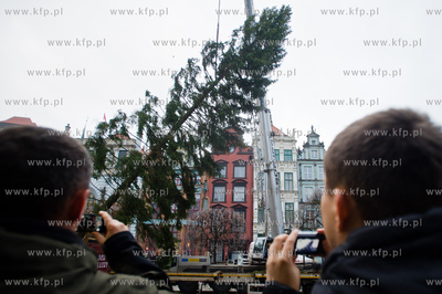 Gdansk. Dlugi Targ. Operacja stawiania swiontecznej...