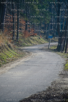 Gdansk. Oliwa, Trojmiejski Park Krajobrazowy. Asfaltowa...