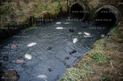 Gdansk. Pracowinicy Gdanskich melioracji oproznili...