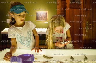 Muzeum Sopotu. Kuratorskie oprowadzanie po wystawie...