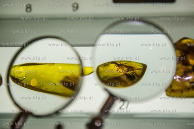 Gdansk. 10 lecie Muzeum Bursztynu i Swiatowej Rady...