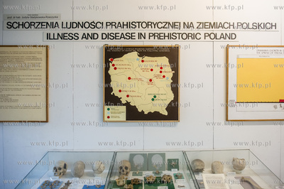 Muzeum Archeologiczne w Gdańsku. Konferencja prasowa...