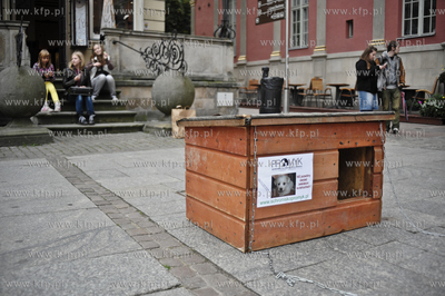 Akcja protestacyjna pt. Zerwijmy lancuchy! zorganizowana...