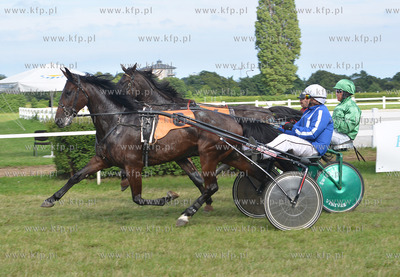 Wyscigi konne na sopockim Hipodromie. 17.07.2016 fot....
