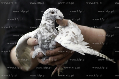 Gdansk. Międzynarodowe Targi Gdańskie. Bałtycka...