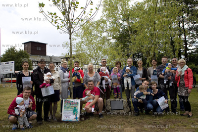 Gdańsk Oliwa. Sadzenie drzewa w Gaju Ojców. Uhonorowano...