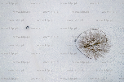 Zimowy Sopot.
19.02.2026
fot. Krzysztof Mystkowski...