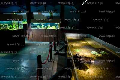 Sopot. Budynek dawnego klubu nocnego Enzym. Nowo otwarte...