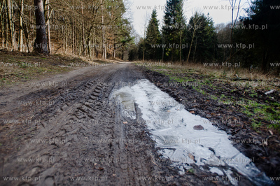 Gdansk. Oliwa, Trojmiejski Park Krajobrazowy. Sciezka...
