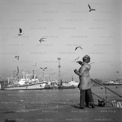 Karmienie ptakow przy portowym nabrzezu w Gdyni. 07.01.19742styczen74_z.kosycarz_p12Fot....