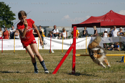 Sopocka Wystawa Psow Rasowych. W trakcie wystawy odbywaly...