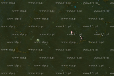 Trojmiejskie plaze zapelniaja sie niesmialymi turystami....